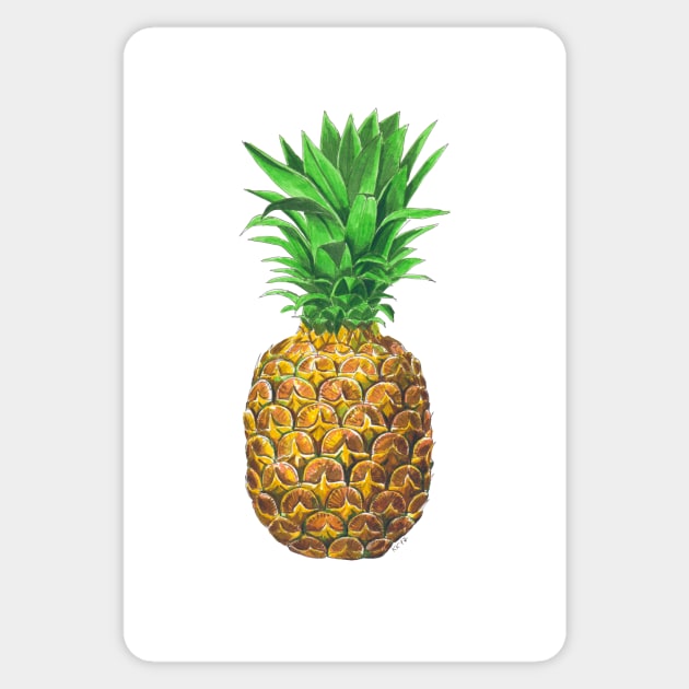 Pineapple, tropical fruit Sticker by katerinamk